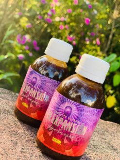 AYAHUASCA - 100ml